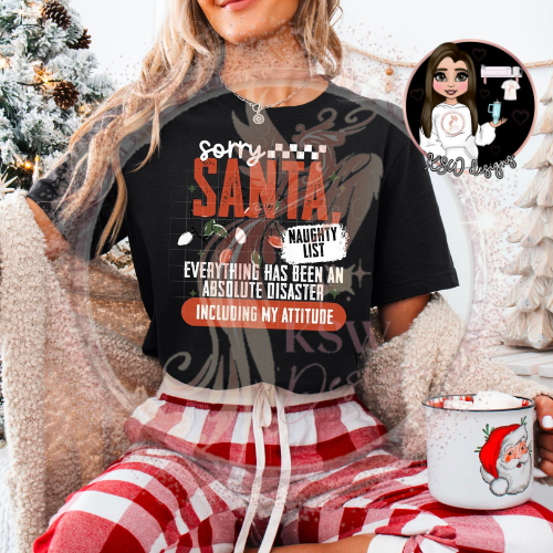 Sorry Santa – Naughty List Hoodie